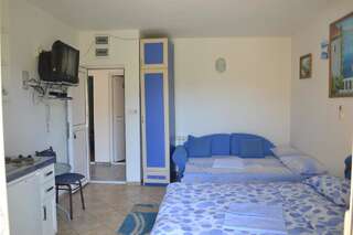 Апартаменты Apartments Jovanovic Вирпазар Номер-студио с балконом и видом на озеро-5